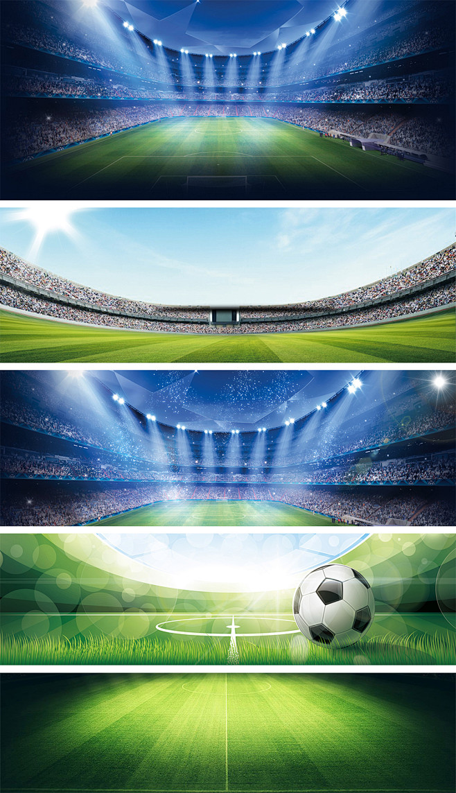 抓下了几只 抓下了几只